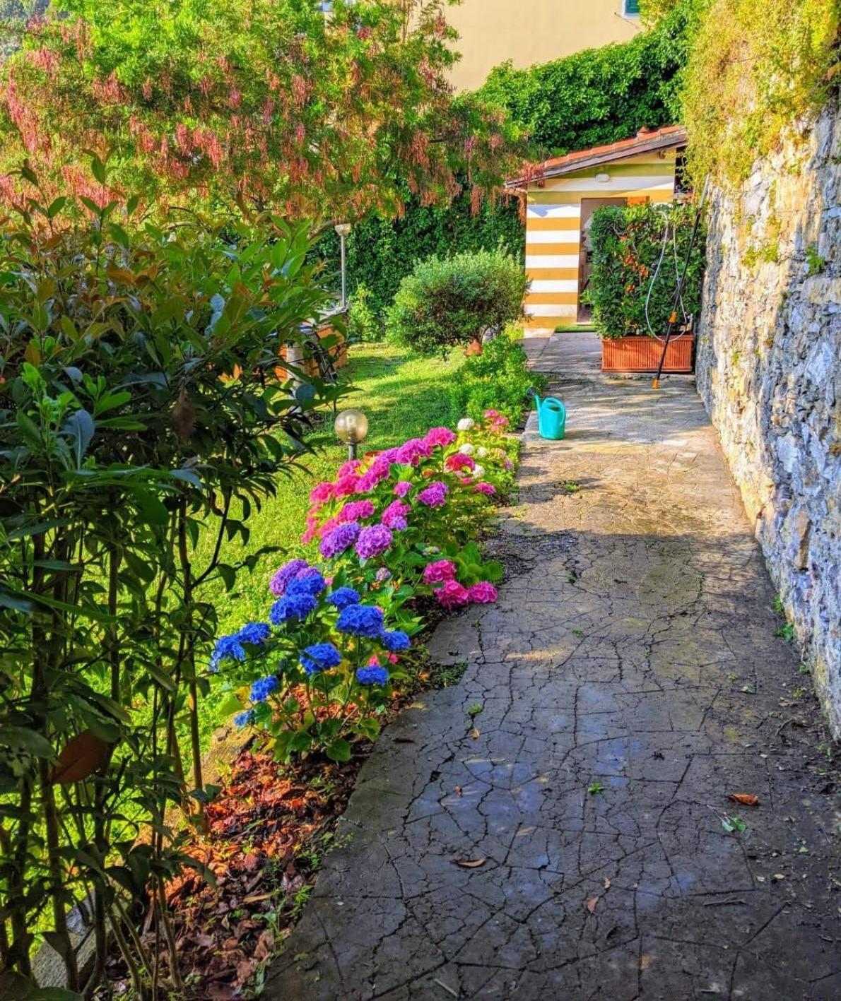 B&B Casa Ninni Камольи Экстерьер фото